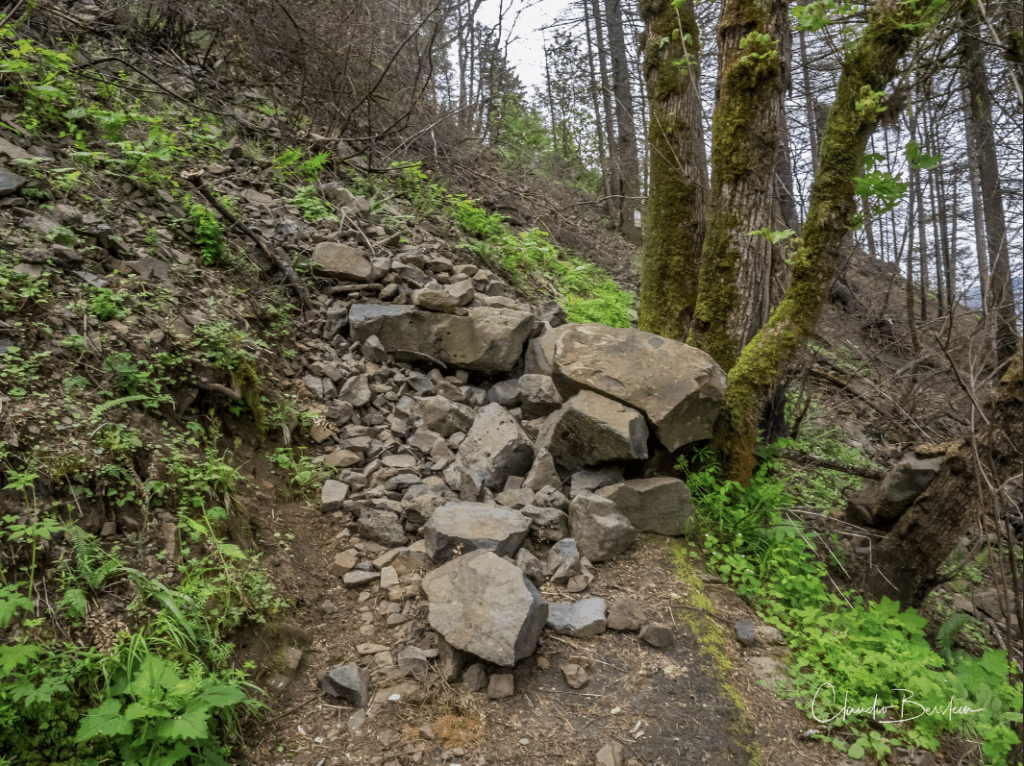 A forst path covered in rocks and debris from a rock slide.