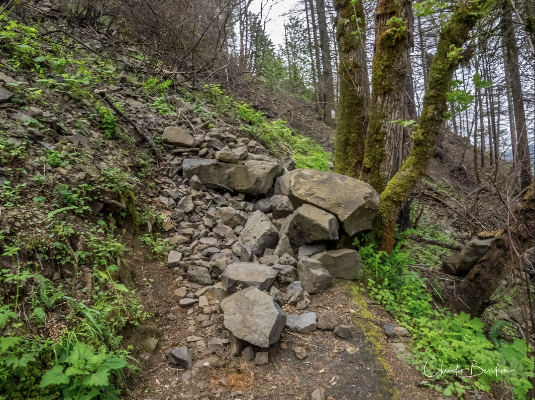 A forst path covered in rocks and debris from a rock slide.